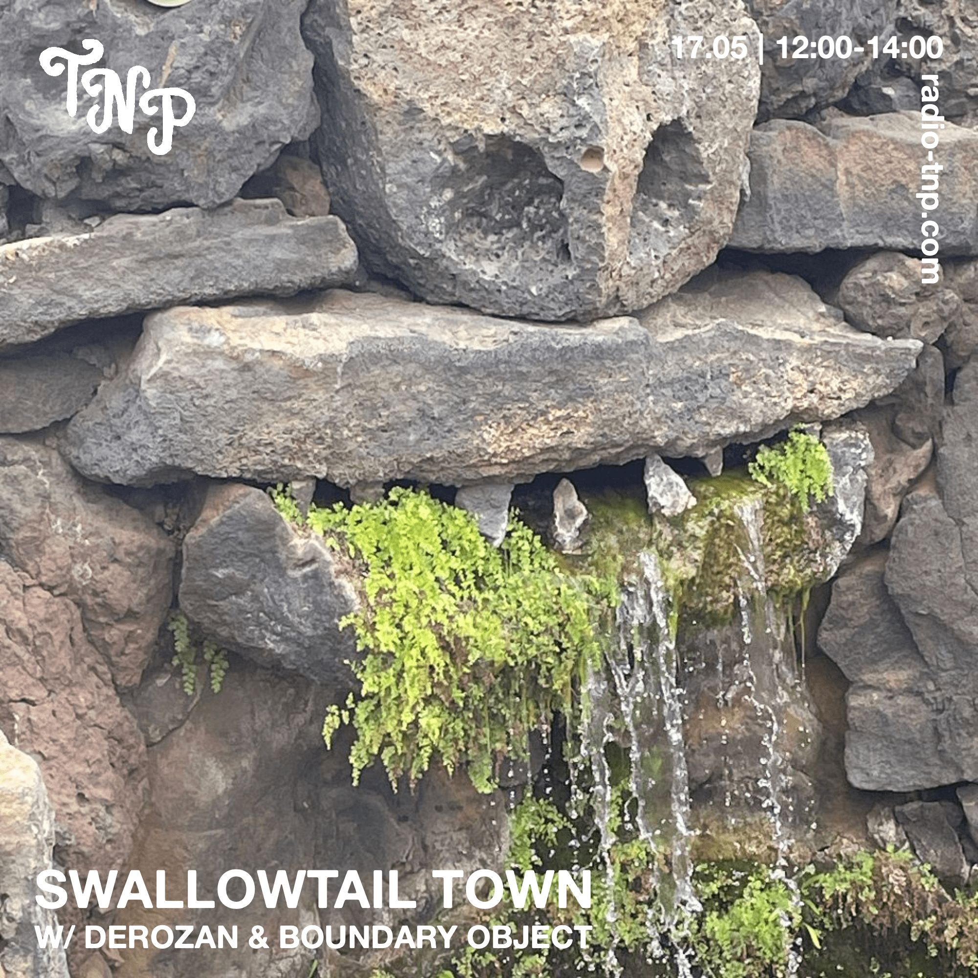 Swallowtail Town w/ Boundary Object