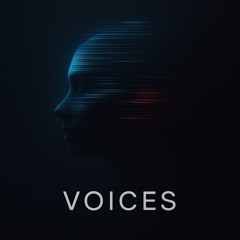 V01c3s  DarkStep