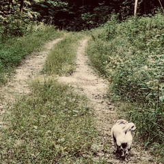 I Loved You Then (And I Love You Still)