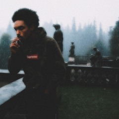 hit the coast with you prod shinmidx