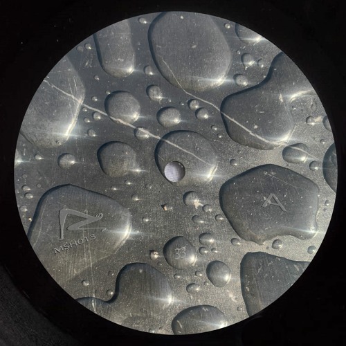 pi pi pi premiere: Angus Mills - Yelp (Moonshoe)