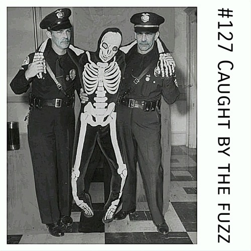 #127 - Caught By The Fuzz