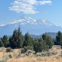 Luis Masi - Chinatown Sessions 100 Vinyl Mix