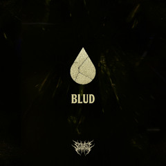 BLUD