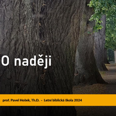 O naději - Pavel Hošek
