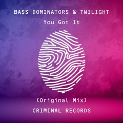 Bass Dominators & Twilight - You Got It