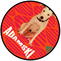 Adamski - Killer Feat. Seal (Mystic Signal Extended Dj Mix)