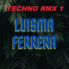 TECHNO RMX 1