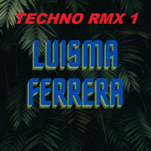 TECHNO RMX 1