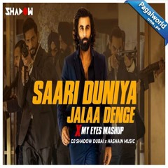 Saari Duniya Jalaa Denge Animal Mashup - DJ Shadow Dubai(PagalWorld.com.pe)