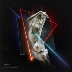 Next Level Remixes