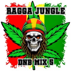 Ragga Jungle DNB Mix 5