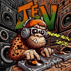 PROMO MIX 2025