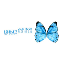 Acid Mush, Flor De Sal  - Borboleta (Extended Remix)