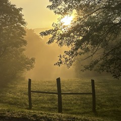 Second Guessing Sunken Costs.m4a