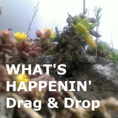Whats Happenin' (First Mix)