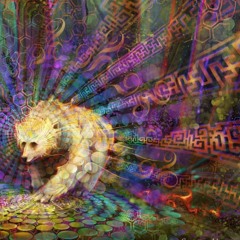 Multiverse bear