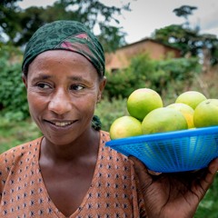 Ethiopia - Addis Ababa Merkato