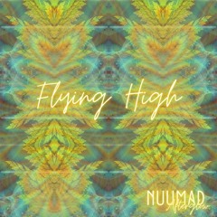 Flying High