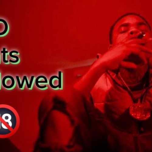 P Yungin - No Rats Allowed (Official Audio)