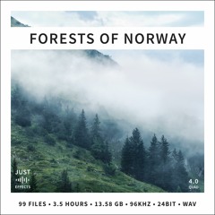 FORESTS OF NORWAY - Preview