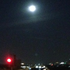 Triptych (3 Accidents After Francis Bacon)