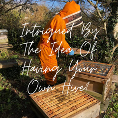 Intrigued By The Idea Of Having Your Own Hive?