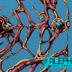 ALEPH - SPIRIT CHAMBER
