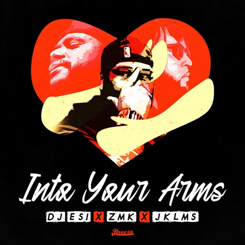 DJ Esi, ZMK & JKLMS - Into Your Arms (Official Remix)
