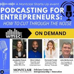 Podcasting for Entrepeneurs Panel