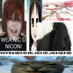 NICONICONI LA WEA CRINGE D LA TIPA ESTA D MRD