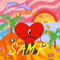 UN VERANO CON SAM R