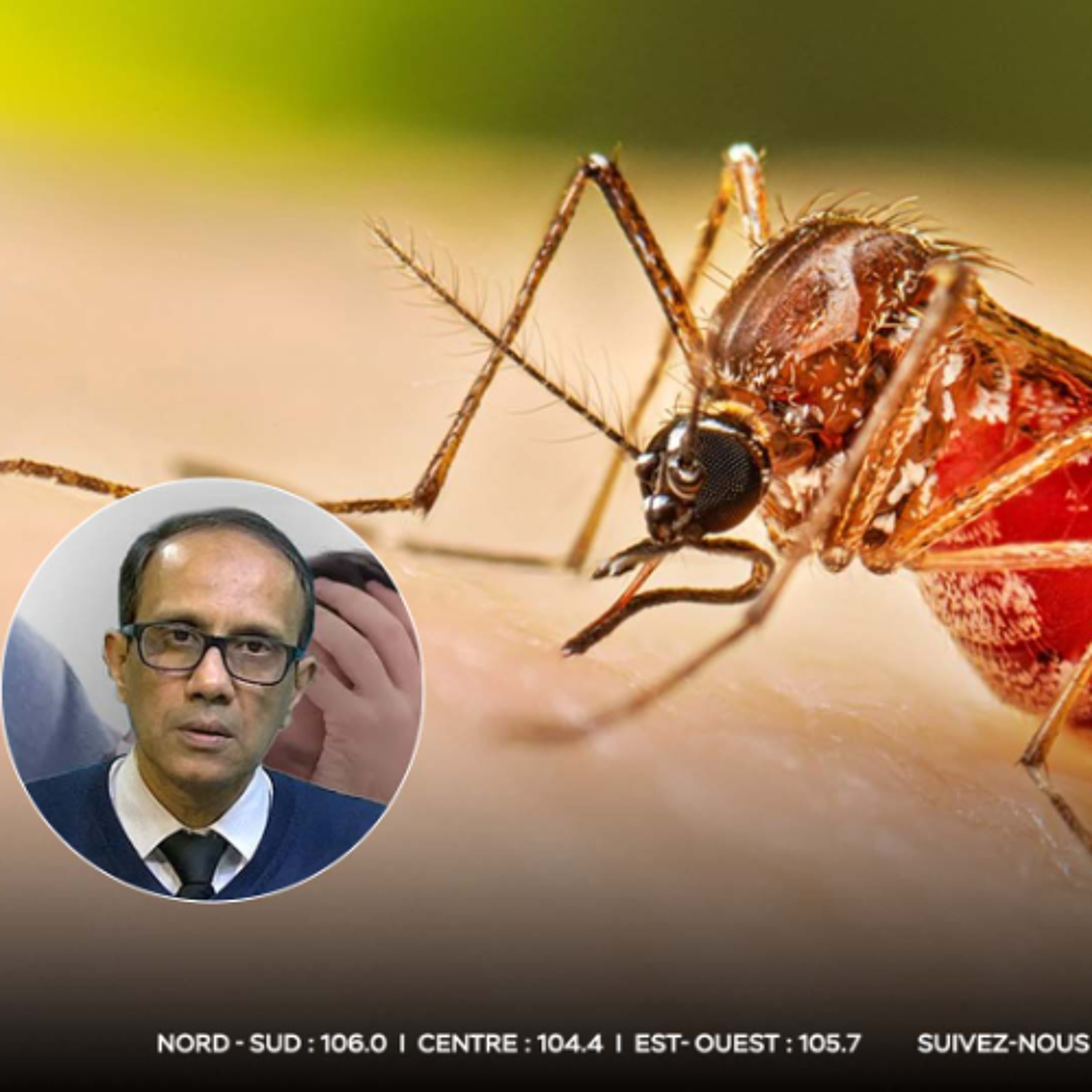 Hausse inquiétante du Chikungunya : 15 à 20 cas signalés chaque jour
