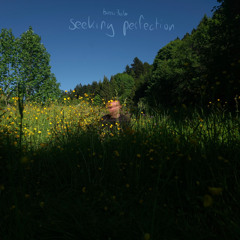 INTRO_disk_1 (seeking perfection)