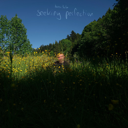 INTRO_disk_1 (seeking perfection)