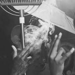 Sdot Go - Snowfall
