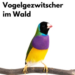 Glückliche Vögel