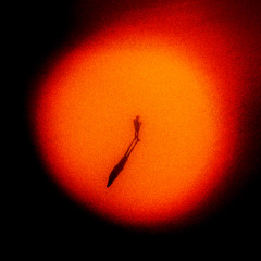 Flame In The Sky