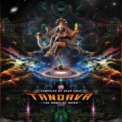 Chakraview - Djinn & Tonic (VA- Tandava | Brahmasutra Records) - OUT NOW!