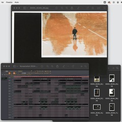 81124demo_animad'oro
