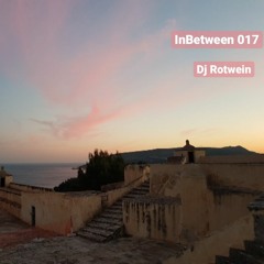 # 017 - Dj Rotwein (Balearic Bananas)