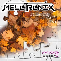 The Moxy Mix (Falling into Place Vol. 2)