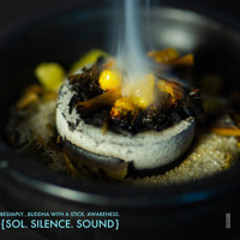 BeSimply...Buddha with a Stick. Awareness. {Sol. Silence. Sound}