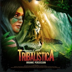 COS032 - Tribalistica