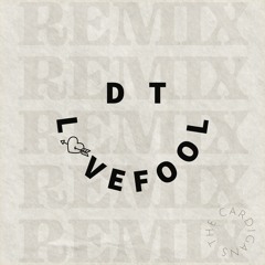 The Cardigans - Lovefool (DT Remix)