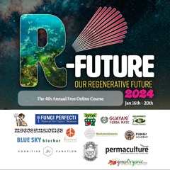 Your Invitation to R-Future 2024