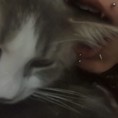 🕷️🕸️〜（ゝ。∂）