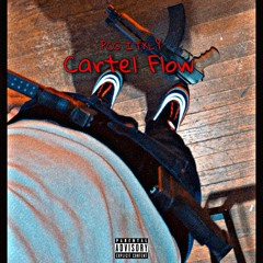 Cartel Flow