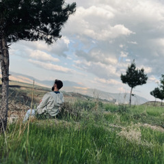navid ghaedi ghasedak