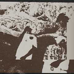 Since the day I got my license…. (yunoqq indrasarrow)